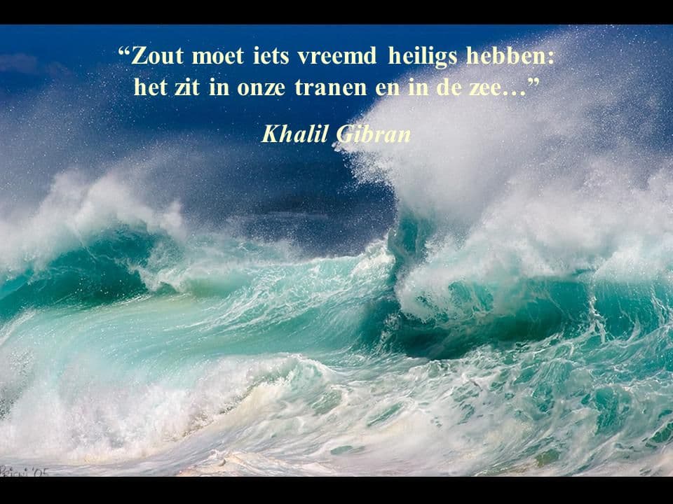 STRAFFE HAVENVERHALEN